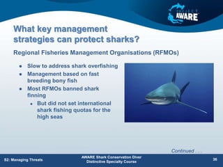 What key management
strategies can protect sharks?
 Slow to address shark overfishing
 Management based on fast
breeding bony fish
 Most RFMOs banned shark
finning
 But did not set international
shark fishing quotas for the
high seas
Regional Fisheries Management Organisations (RFMOs)
AWARE Shark Conservation Diver
Distinctive Specialty Course
36
S2: Managing Threats
Continued . . .
 