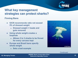 What key management
strategies can protect sharks?
 IUCN recommends ratio not exceed
5% of dressed weight
 Dressed weight = heads and
guts removed
 Using whole weight creates a
loophole
 Allows 2 to 3 sharks to be finned
for every carcass kept
 Europe and Brazil bans specify
whole weight
 Sets a bad example
Finning Bans
AWARE Shark Conservation Diver
Distinctive Specialty Course
38
S2: Managing Threats
Continued . . .
 