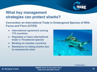 What key management
strategies can protect sharks?
 International agreement among
175 countries
 Regulates or bans international
trade in Threatened species
 Binding on member countries
 Resistance to listing sharks due
to commercial value
Convention on International Trade in Endangered Species of Wild
Fauna and Flora (CITES)
AWARE Shark Conservation Diver
Distinctive Specialty Course
40
S2: Managing Threats
Continued . . .
 