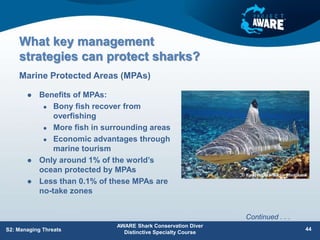 What key management
strategies can protect sharks?
 Benefits of MPAs:
 Bony fish recover from
overfishing
 More fish in surrounding areas
 Economic advantages through
marine tourism
 Only around 1% of the world’s
ocean protected by MPAs
 Less than 0.1% of these MPAs are
no-take zones
Marine Protected Areas (MPAs)
AWARE Shark Conservation Diver
Distinctive Specialty Course
44
S2: Managing Threats
Continued . . .
 