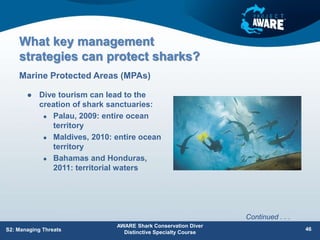 What key management
strategies can protect sharks?
 Dive tourism can lead to the
creation of shark sanctuaries:
 Palau, 2009: entire ocean
territory
 Maldives, 2010: entire ocean
territory
 Bahamas and Honduras,
2011: territorial waters
Marine Protected Areas (MPAs)
AWARE Shark Conservation Diver
Distinctive Specialty Course
46
S2: Managing Threats
Continued . . .
 