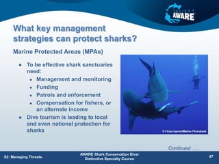 What key management
strategies can protect sharks?
 To be effective shark sanctuaries
need:
 Management and monitoring
 Funding
 Patrols and enforcement
 Compensation for fishers, or
an alternate income
 Dive tourism is leading to local
and even national protection for
sharks
Marine Protected Areas (MPAs)
AWARE Shark Conservation Diver
Distinctive Specialty Course
47
S2: Managing Threats
Continued . . .
 