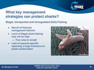 What key management
strategies can protect sharks?
 Result of fisheries
management failures
 Level of illegal shark fishing
may not be high
 Few rules to break!
 Lack of species-specific
reporting a huge hindrance to
shark conservation
Illegal, Unreported and Unregulated (IUU) Fishing
AWARE Shark Conservation Diver
Distinctive Specialty Course
48
S2: Managing Threats
 