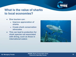What is the value of sharks
to local economies?
 Dive tourism can:
 Improve appreciation of
sharks
 Create shark conservation
advocates
 This can lead to protection for
shark species not associated
with diving, such as those in
international waters
AWARE Shark Conservation Diver
Distinctive Specialty Course
S2: Managing Threats 52
 