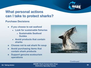 What personal actions
can I take to protect sharks?
 If you choose to eat seafood
 Look for sustainable fisheries
 Sustainable Seafood
Guides
 Avoid products that contain
sharks
 Choose not to eat shark fin soup
 Avoid purchasing items that
contain shark products
 Support genuine ecotourism
operations
Purchase Decisions
AWARE Shark Conservation Diver
Distinctive Specialty Course
59
S3: Taking Action
Continued . . .
 