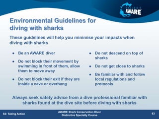Environmental Guidelines for
diving with sharks
 Be an AWARE diver
 Do not block their movement by
swimming in front of them, allow
them to move away
 Do not block their exit if they are
inside a cave or overhang
These guidelines will help you minimise your impacts when
diving with sharks
AWARE Shark Conservation Diver
Distinctive Specialty Course
63
S3: Taking Action
 Do not descend on top of
sharks
 Do not get close to sharks
 Be familiar with and follow
local regulations and
protocols
Always seek safety advice from a dive professional familiar with
sharks found at the dive site before diving with sharks
 