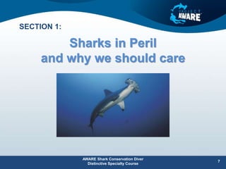 Sharks in Peril
and why we should care
AWARE Shark Conservation Diver
Distinctive Specialty Course
7
SECTION 1:
 