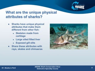 What are the unique physical
attributes of sharks?
 Sharks have unique physical
attributes that make them
different from other fish:
 Skeleton made from
cartilage
 Large oiled filled liver
 Exposed gill slits
 Share these attributes with
rays, skates and chimaeras
AWARE Shark Conservation Diver
Distinctive Specialty Course
S1: Sharks in Peril 9
 