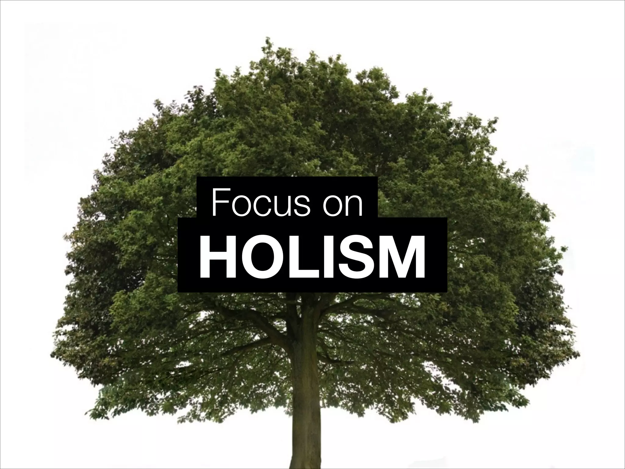 HOLISM
Focus on
 