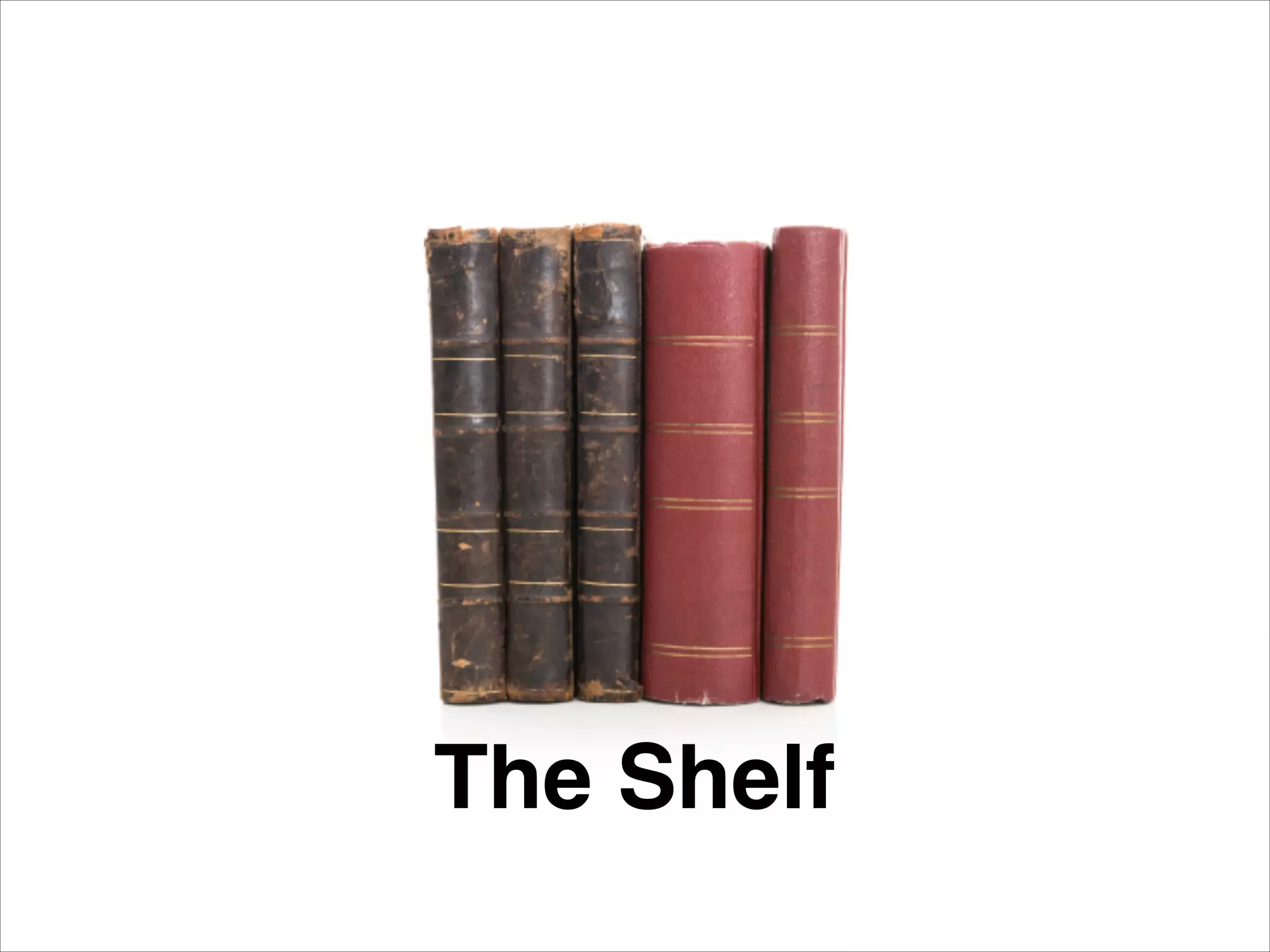 The Shelf
 