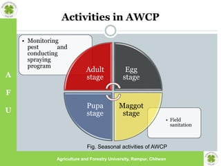 AWCP final.ppt