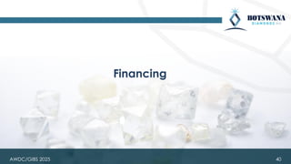 40
Financing
AWDC/GIBS 2025
 