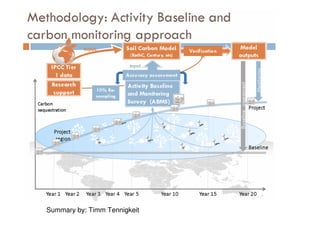 A Wekesa SCC Vi programme carbon project july 2010