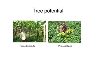 A Wekesa SCC Vi programme carbon project july 2010