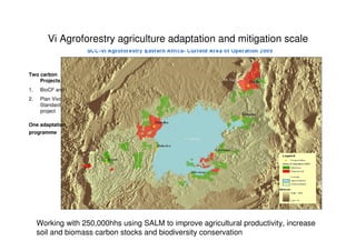 A Wekesa SCC Vi programme carbon project july 2010