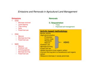 A Wekesa SCC Vi programme carbon project july 2010