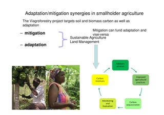 A Wekesa SCC Vi programme carbon project july 2010