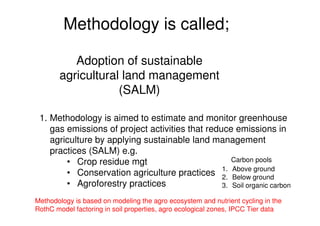 A Wekesa SCC Vi programme carbon project july 2010