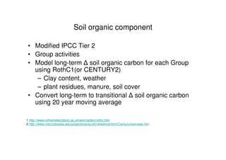 A Wekesa SCC Vi programme carbon project july 2010