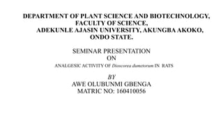 DEPARTMENT OF PLANT SCIENCE AND BIOTECHNOLOGY,
FACULTY OF SCIENCE,
ADEKUNLE AJASIN UNIVERSITY, AKUNGBA AKOKO,
ONDO STATE.
SEMINAR PRESENTATION
ON
ANALGESIC ACTIVITY OF Dioscorea dumetorum IN RATS
BY
AWE OLUBUNMI GBENGA
MATRIC NO: 160410056
 