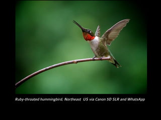 Questions DMOs should be asking
•  What are your citizens’ stories?
•  What are your visitors’ stories?
•  Where are they telling stories?
•  Who listens to their stories?
•  How to you track who listens?
•  How do you measure who visits?
•  How to you make it easy to return?
•  Who is (are) your customer(s)?
•  What is my job?
 