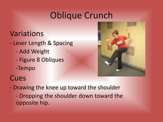 Is there an Ideal Sequence for Training Abs?