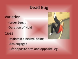 Oblique CrunchVariation	- Lever Length		- Scissors	- Add Weights		- Bicycle	- Rhythm			- Tabletop LegsCues- Engage the abdominals and draw the rib across to the 	 	 	 	 opposite hip	- Keep a fist space between your chin and chest 