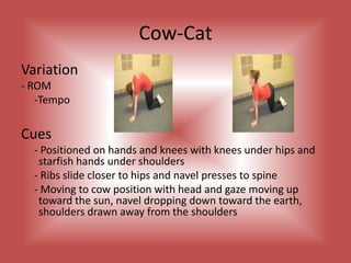Oblique V SitVariation- Range of Motion	- Add Weights	- Speed 	-Lever LengthCues	- Beginning with feet on the floor, seated on the sit bones and 	shoulders stacked over the hips; keeping the spine in neutral drop 	the shoulders back until the body forms a V from shoulders to hips 	to knees	- Pressing the navel to the spine, engaging the core to keep the 	 	spine in neutral position	- Reaching the arms up together and to the outside of the hips, 	dropping the rib to the opposite hip