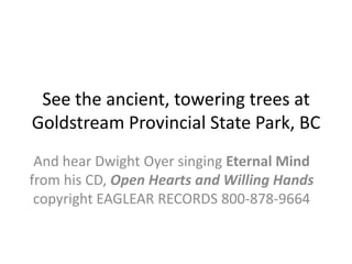 See the ancient, towering trees at Goldstream Provincial State Park, BC And hear Dwight Oyer singing Eternal Mind from his CD, Open Hearts and Willing Hands copyright EAGLEAR RECORDS 800-878-9664 