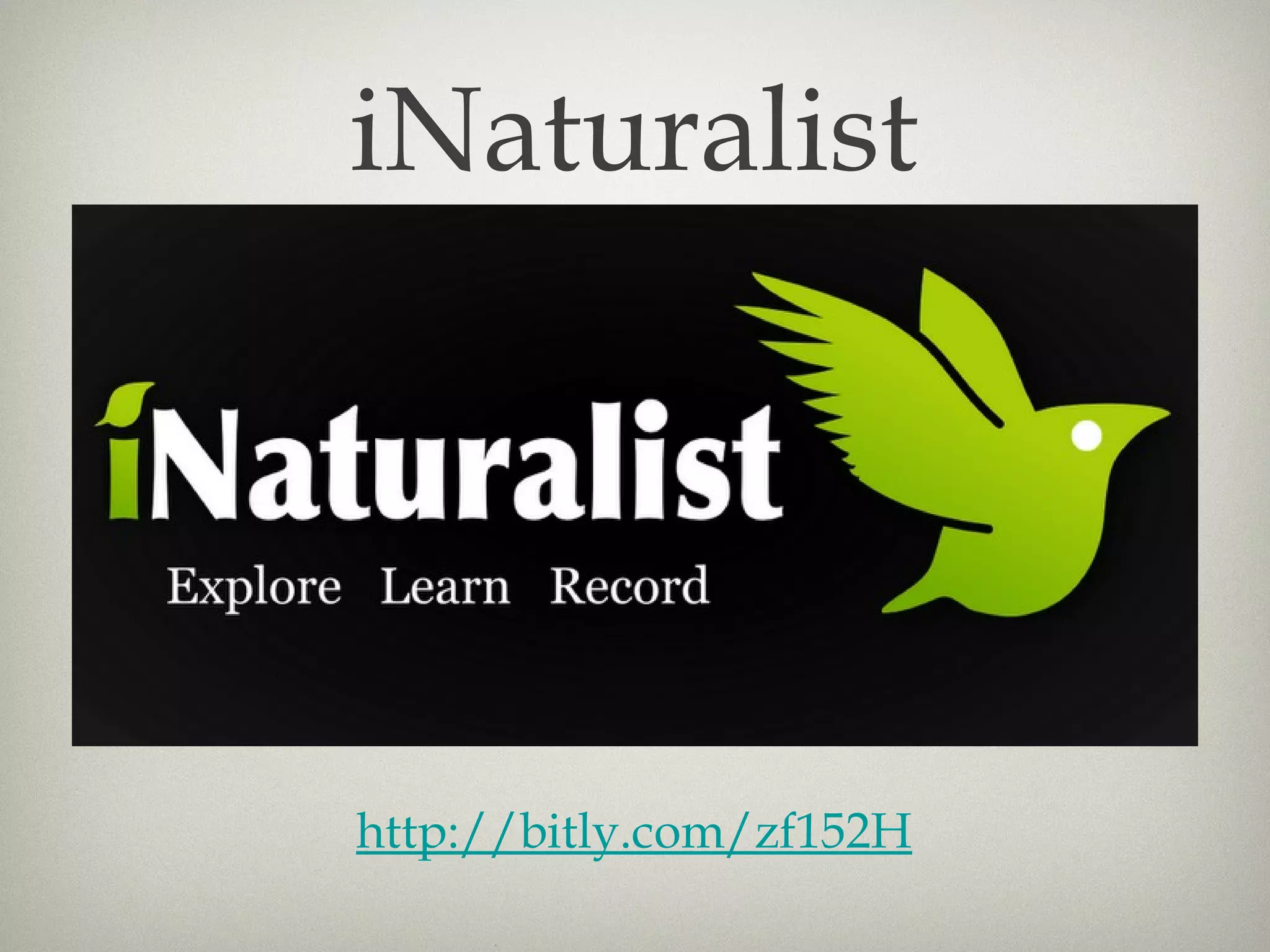 iNaturalist




http://bitly.com/zf152H
 