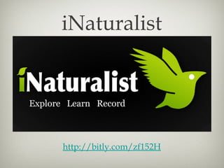 iNaturalist




http://bitly.com/zf152H
 