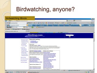 Birdwatching, anyone?
birdwatching illinois
 