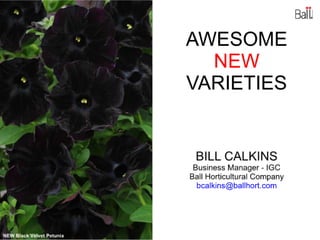 Awesome New Varieties 2010