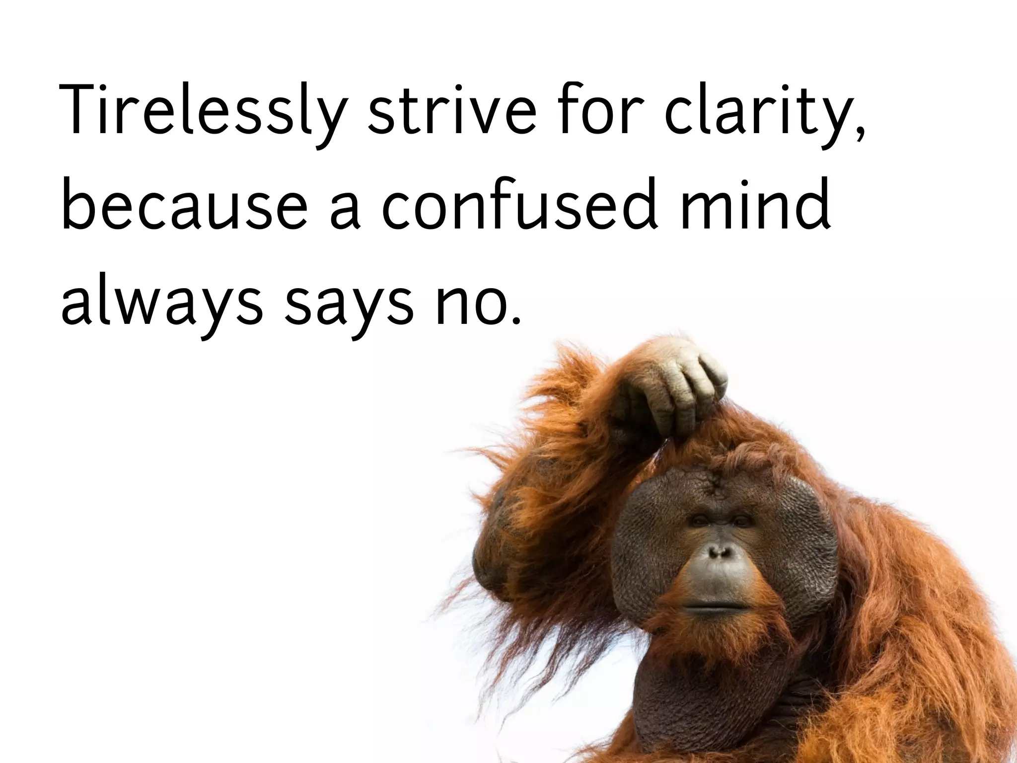 Tirelessly strive for clarity,
because a confused mind
always says no.
 