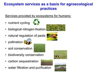 Ecosystem services as a basis for agroecological
practices
• nutrient cycling
• biological nitrogen-fixation
• natural reg...