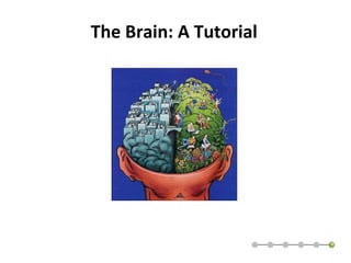The Brain: A Tutorial 