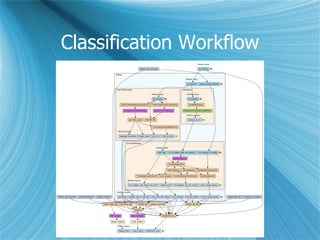 Classification Workflow 
