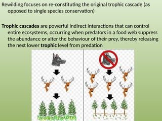A_wild_world_J_Barry_pptx.pptx BIOLOGY PPT | PPTX