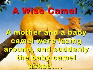 A Wise CamelA Wise Camel
A mother and a babyA mother and a baby
camel were lazingcamel were lazing
around, and suddenlyaround, and suddenly
the baby camelthe baby camel
asked....asked....
 