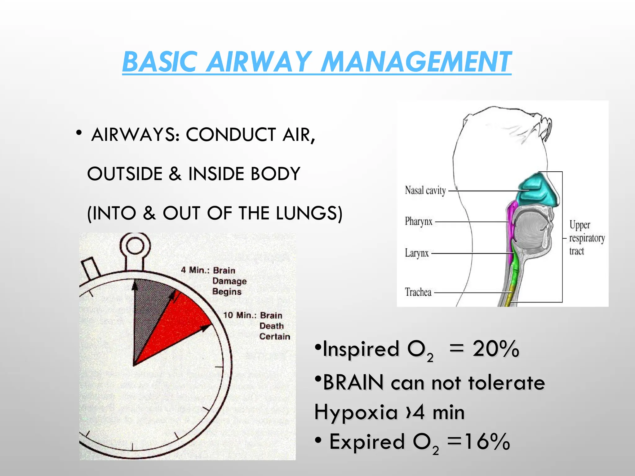BASIC AIRWAY MANAGEMENT
• AIRWAYS: CONDUCT AIR,
OUTSIDE & INSIDE BODY
(INTO & OUT OF THE LUNGS)
•Inspired O
Inspired O2
2 = 20%
= 20%
•BRAIN can not tolerate
BRAIN can not tolerate
Hypoxia ›4 min
Hypoxia ›4 min
• Expired O
Expired O2
2 =16%
=16%
 