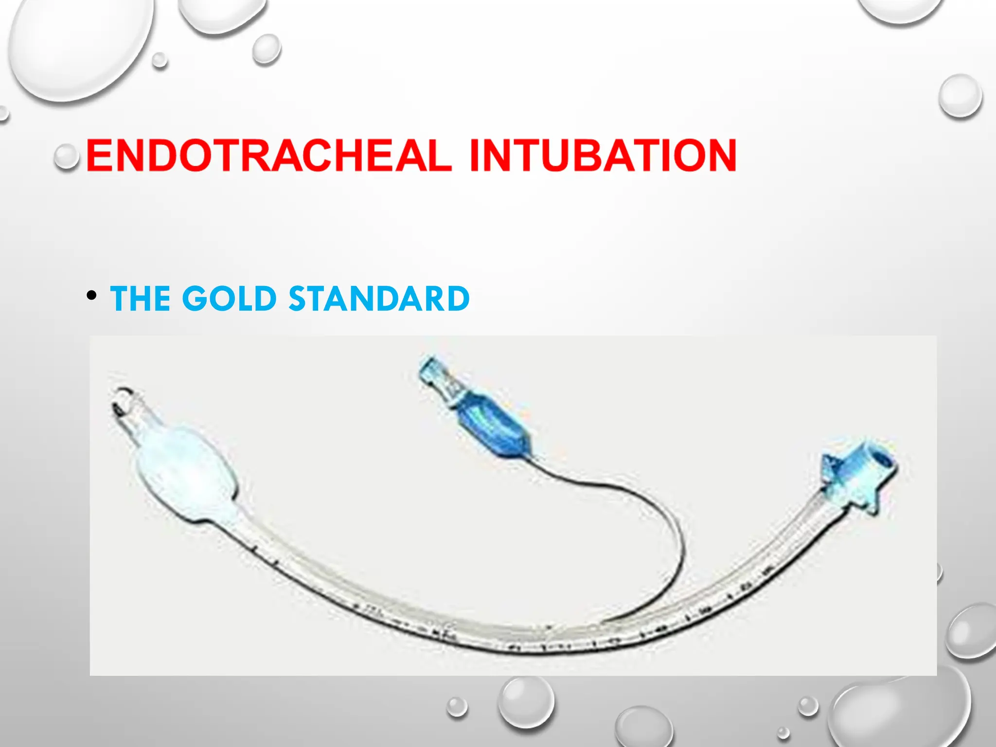 • THE GOLD STANDARD
 