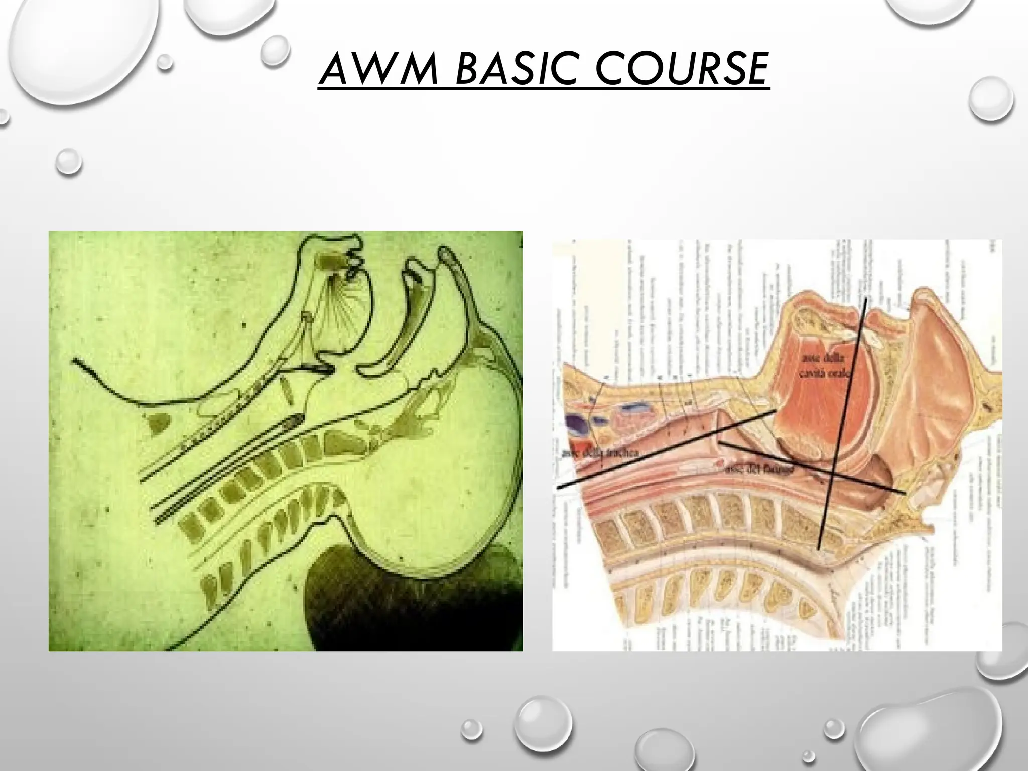AWM BASIC COURSE
 