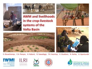 AWM and livelihoods
in the crop-livestock
systems of the
Volta Basin
S. Douxchamps, E.K. Panyan, A. Kaboré, B. Sawadogo, F.K. Avornyo, K. Ouattara, N. Karbo, A. Ayantunde
 