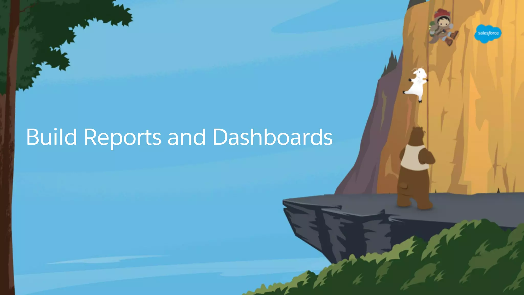 Build Reports and Dashboards
 
