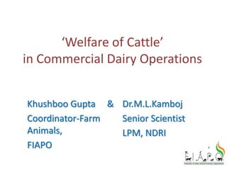 ‘Welfare of Cattle’
in Commercial Dairy Operations


Khushboo Gupta & Dr.M.L.Kamboj
Coordinator-Farm Senior Scientist
Animals,         LPM, NDRI
FIAPO
 