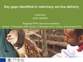 Key gaps identified in veterinary service delivery
Fasil Awol
(EVA-HEARD)
Regional PPPs task force workshop
Amhara, 18 November 2019: Somali, 21 November 2019: Oromia, 26 November 2019
 