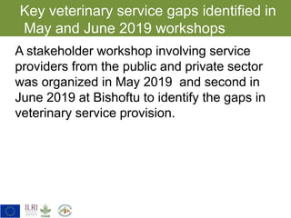 Key gaps identified in veterinary service delivery