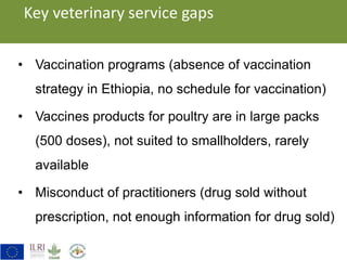 Key gaps identified in veterinary service delivery