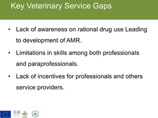 Key gaps identified in veterinary service delivery
