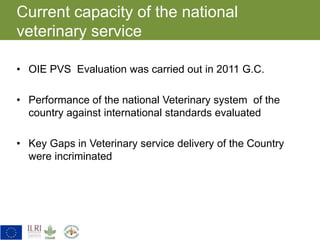 Key gaps identified in veterinary service delivery